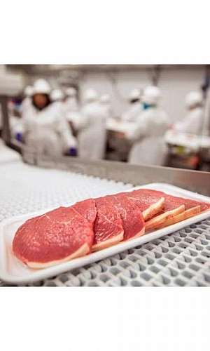 esteira alimentadora industrial  esteira alimentadora industrial