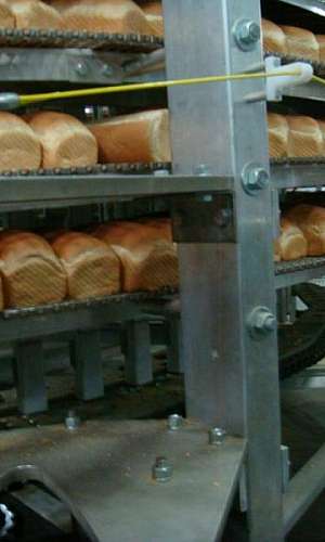 esteira para indústria de alimentos esteira para indústria de alimentos