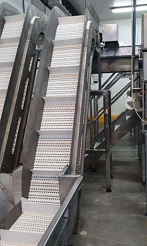 esteira transportadora alimentícia esteira transportadora alimentícia