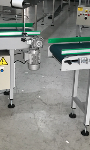 Esteira Transportadora Alimentícia Esteira Transportadora Alimentícia