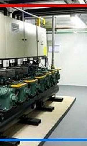 Rack de congelados Rack de congelados